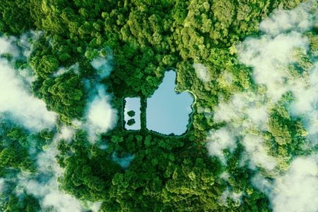 Top 6 environmental wins of 2022