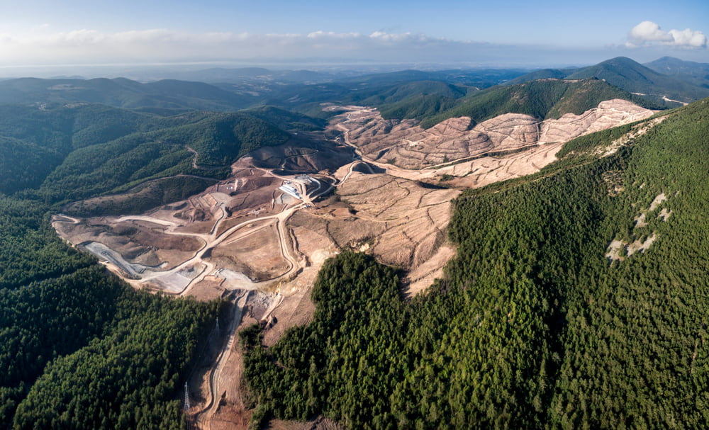 Corporate failure on deforestation stumping net zero goals, report warns