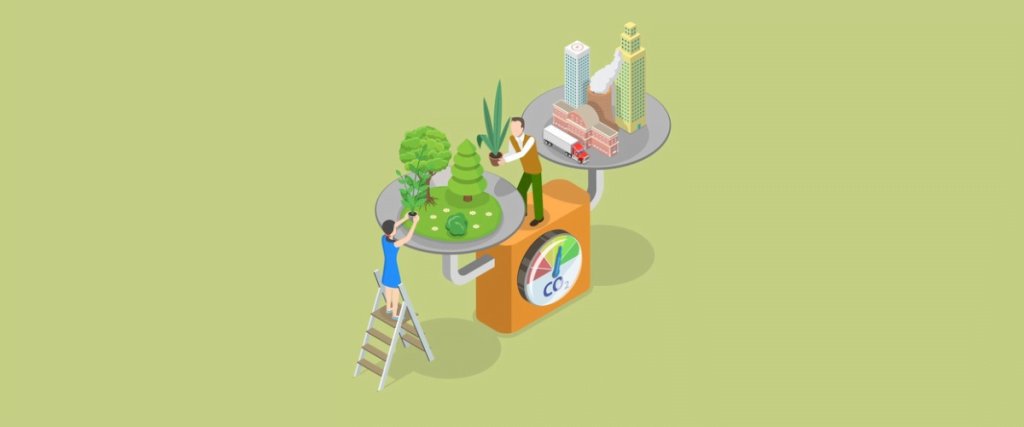 carbon neutral vs net zero feature