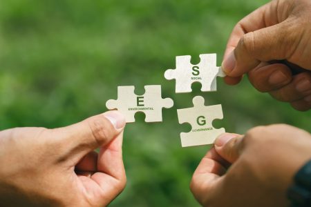 What is an ESG strategy