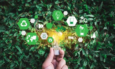 New ‘one-stop shop’ launched for sustainability-focused SMEs