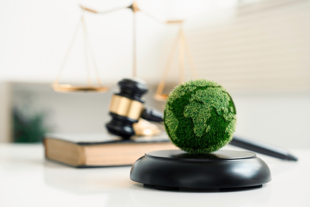 FCA sets date to finalise UK sustainability disclosure rules FCA disclosure