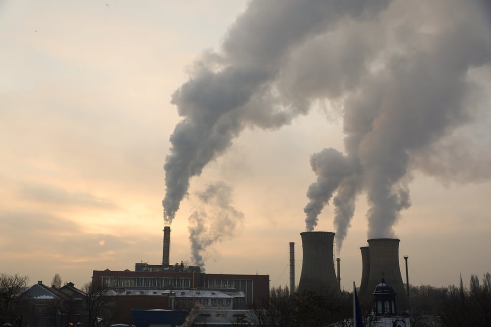 fossil fuels