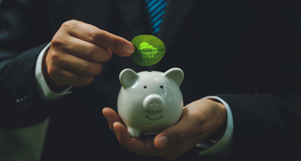 SBTi Net-Zero Standard: Potential for increased role of carbon credits
