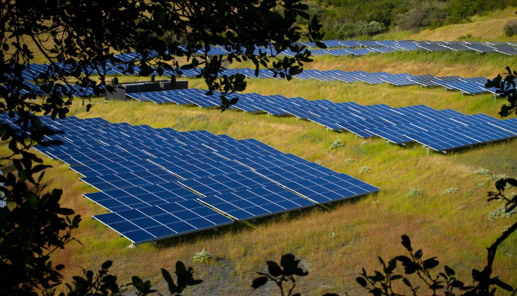 Image of solar farm illustrating article on new solar + battery facility in Kent, UK.