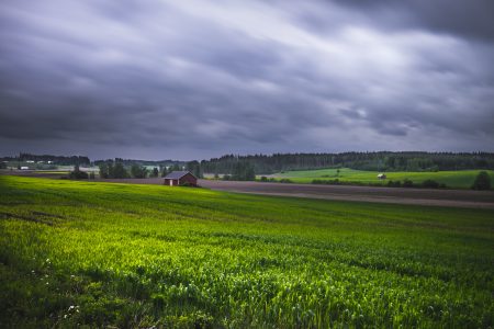 Illustration of green fields for article on euNetworks.