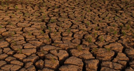UK not adapted to extreme weather effects – Climate Change Committee